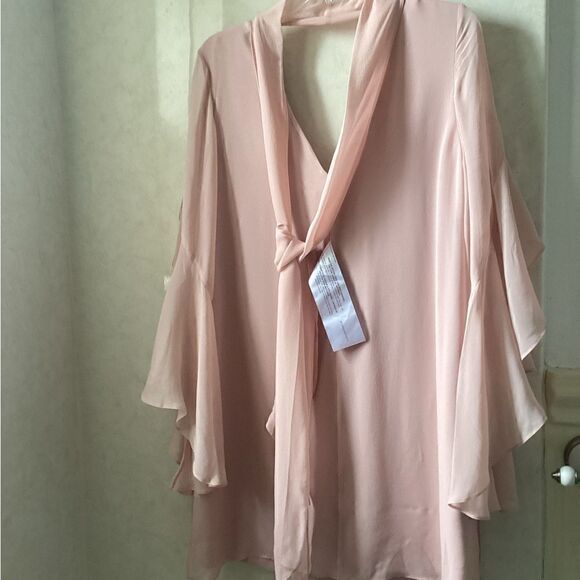 NWOT BCBG S pink silk chiffon dress w flutter sleeves - Picture 10 of 16
